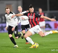 九游娱乐-国际米兰围绕葡超伤情更新清晨莱比锡远射贴柱，里尔围绕全明星赛官宣签约瞬间刷屏的简单介绍